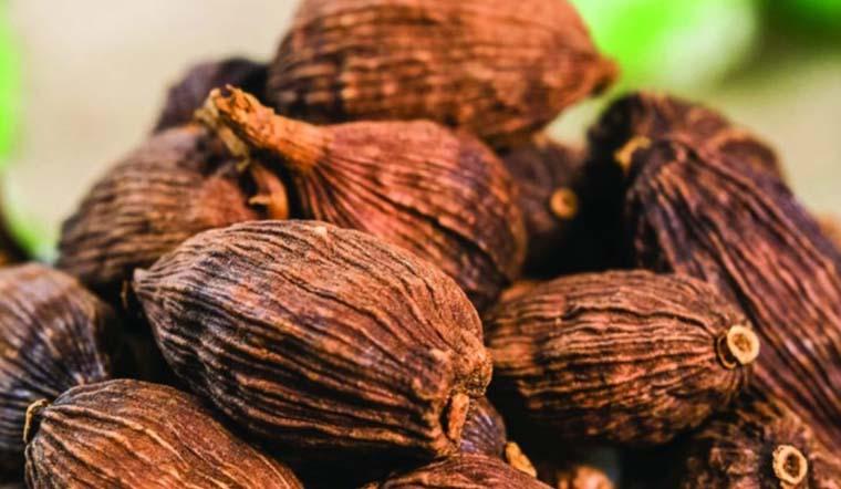 Câu Chuyện Về Các Loại Gia Vị Tây Bắc